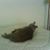 James T. Diffley's profile image