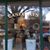Debra Wagner Colvin's profile image