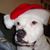 Nancy Hackert's profile image