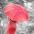 Martha Ellen Paxton's profile image