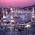 Perihan Gul's profile image