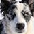 Stephanie Stone Branson's profile image