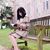 Xueyin Wang's profile image