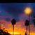 Linda Quiroz's profile image