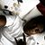 Sincere Tha II's profile image