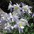 Carolyn Hobbs's profile image