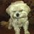 Danette Wallace's profile image