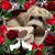 Helga Gewalt's profile image