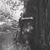 Susan Fenelon's profile image