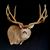 Gary Durfee's profile image