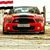M Mohsen Gohar's profile image