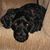 Vicki Smith's profile image