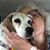 Shelly de Souza's profile image