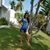 Mercedes Grullon Colon's profile image