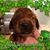 Mary Moulton-Bateman's profile image