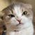 Jason Mitchell's profile image