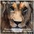 Heather Scheels-Sanborn's profile image