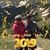 Linda Williams Collins's profile image