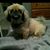 Debbie Evans's profile image