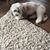 Darlene Toennisson Hinkel's profile image