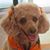 Jolane Zoe Meinke Brown's profile image