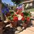 Judyncharlie O'loughlin's profile image