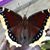 Kathleen Robinson-Ucinski's profile image