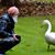 David Hittinger's profile image