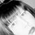 Traci Veneziano's profile image