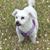 Debbie Lewis's profile image