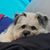 Samantha Lee New Gallagher's profile image