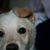 Julia Flum's profile image