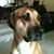 J Kevin Fegan's profile image