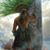 Lalin Marin's profile image