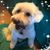 Sally Bevers's profile image