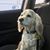 Crystal Hughes's profile image