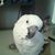 Tina L. Steck's profile image