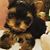 Melissa Felty Porterfield's profile image