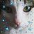 Krista Novey's profile image