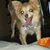 Melanie Kiger's profile image