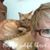 Debbie Bartlett's profile image