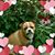 Julie Lord's profile image