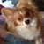 Jenny Steiner Bradshaw's profile image
