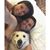 Denise Shipley's profile image