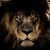 Jaime Antonio Garcia's profile image