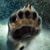 Pete Martini's profile image