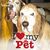 Melissa Varrecchia's profile image