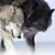Brigitte Marlow's profile image