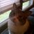 Dawn Ann Blake's profile image