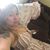 Amy Maynard Jewell's profile image